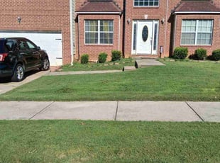 Michelle C.'s grass cutting service result