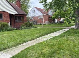 Matt W.'s grass maintenance service result