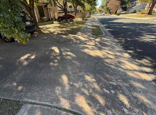 Katie R.'s turf care service result