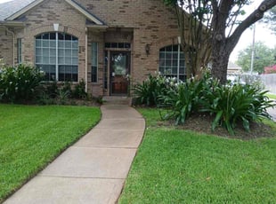 Steven P.'s lawn care services service result