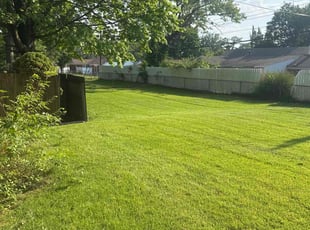 Jeni P.'s lawn care service result