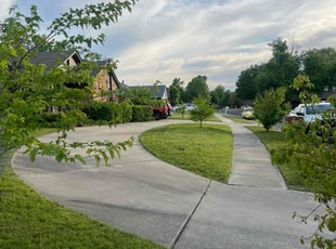Miesha J.'s lawn care service result