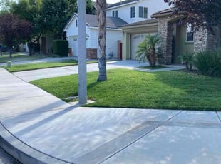 Marc R.'s grass cutting service result