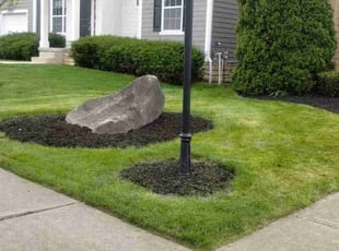 Matt C.'s turf maintenance service result