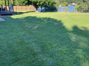 Beth G.'s lawn care service result