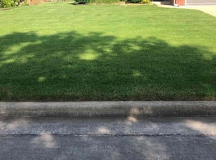 David F.'s lawn service service result