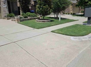 Annie T.'s grass maintenance service result