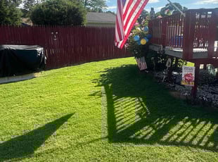Amy O.'s lawn care service result