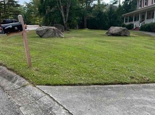 Madalen R.'s lawn service service result