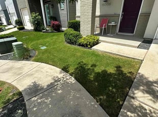 Jim P.'s lawn maintenance service result