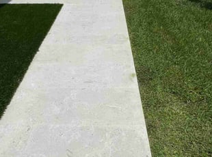 Jedly J.'s grass cutting service result