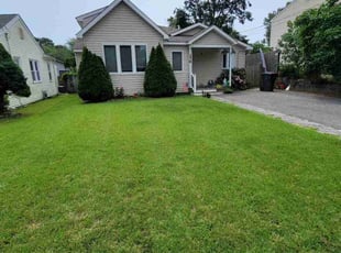 Melissa M.'s grass maintenance service result