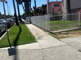 Akiya B.'s Long Grass Cleanup service result