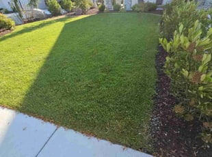 Evelyn K.'s grass maintenance service result