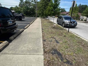 Janine C.'s Flower Bed Weeding service result