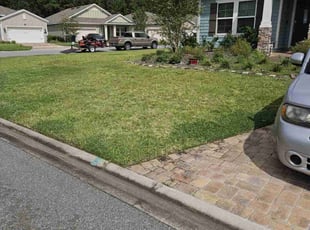 Vyonne C.'s grass cutting service result