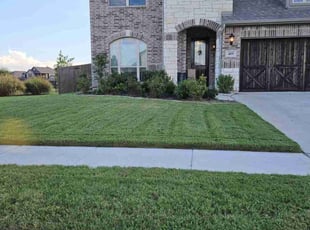 Michael K.'s lawn care services service result