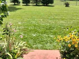 Joanne S.'s Cleanups service result