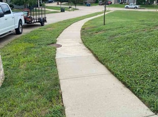 Todd B.'s lawn care services service result