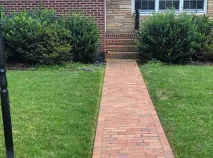 Torey V.'s grass maintenance service result