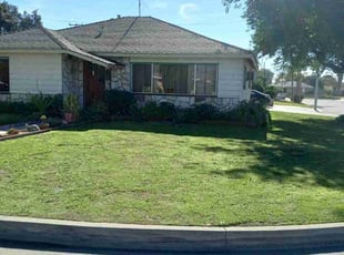 Francisco M.'s lawn care services service result