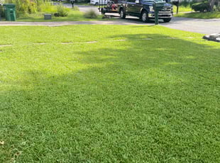 Kelly S.'s turf care service result
