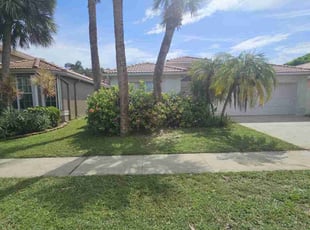 Dominique B.'s lawn care service result