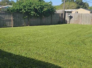 Paula-Rae M.'s grass cutting service result