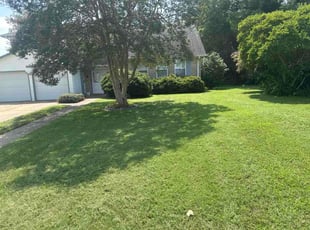 Kelvin W.'s lawn care services service result