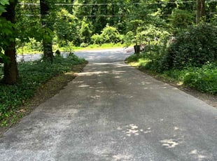 Dorene B.'s grass cutting service result