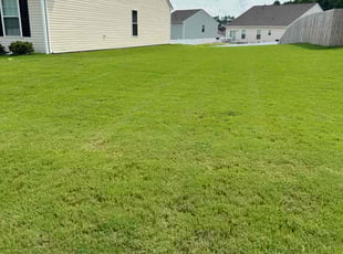 Nadyah W.'s lawn service service result
