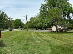 Rex R.'s lawn care service result