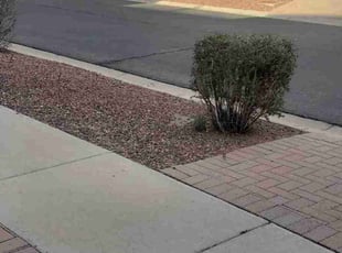 Angela D.'s Bush Trimming service result