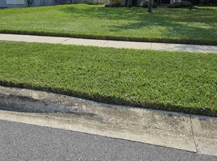 William B.'s landscaping services service result