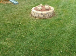Frank T.'s grass cutting service result