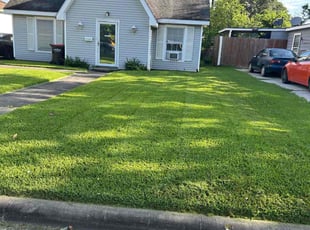 Madison M.'s grass maintenance service result