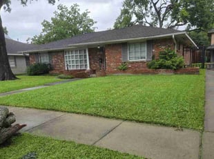 Natalie P.'s lawn care service result