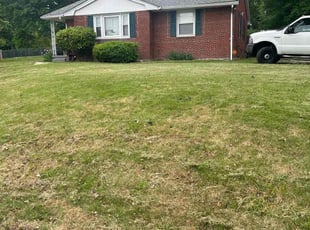 Erica R.'s Bush Trimming service result