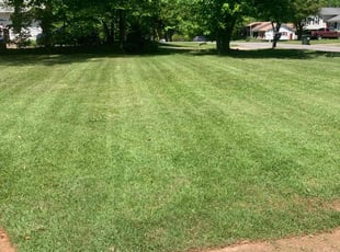 April B.'s grass maintenance service result