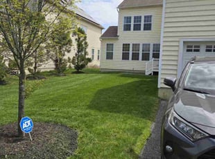 Ken B.'s lawn care service result