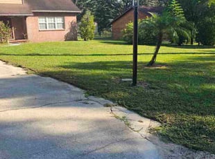 Dale F.'s lawn care service result