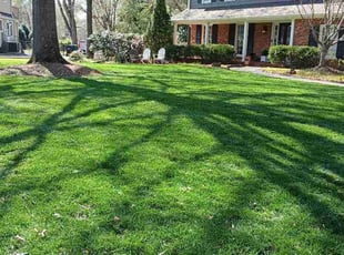 Deborah C.'s grass maintenance service result