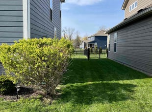 Ivan A.'s turf care service result