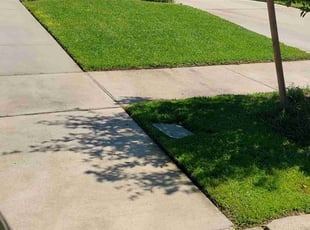 Mark K.'s lawn maintenance service result