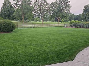 Gabriel G.'s lawn care services service result
