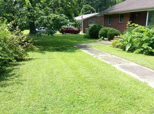 Justin M.'s lawn maintenance service result
