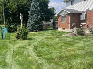 Betty D.'s lawn service service result