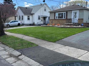 Patrick C.'s lawn care services service result