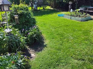 Janeen C.'s turf maintenance service result