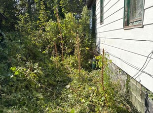 Karli S.'s Bush Trimming service result